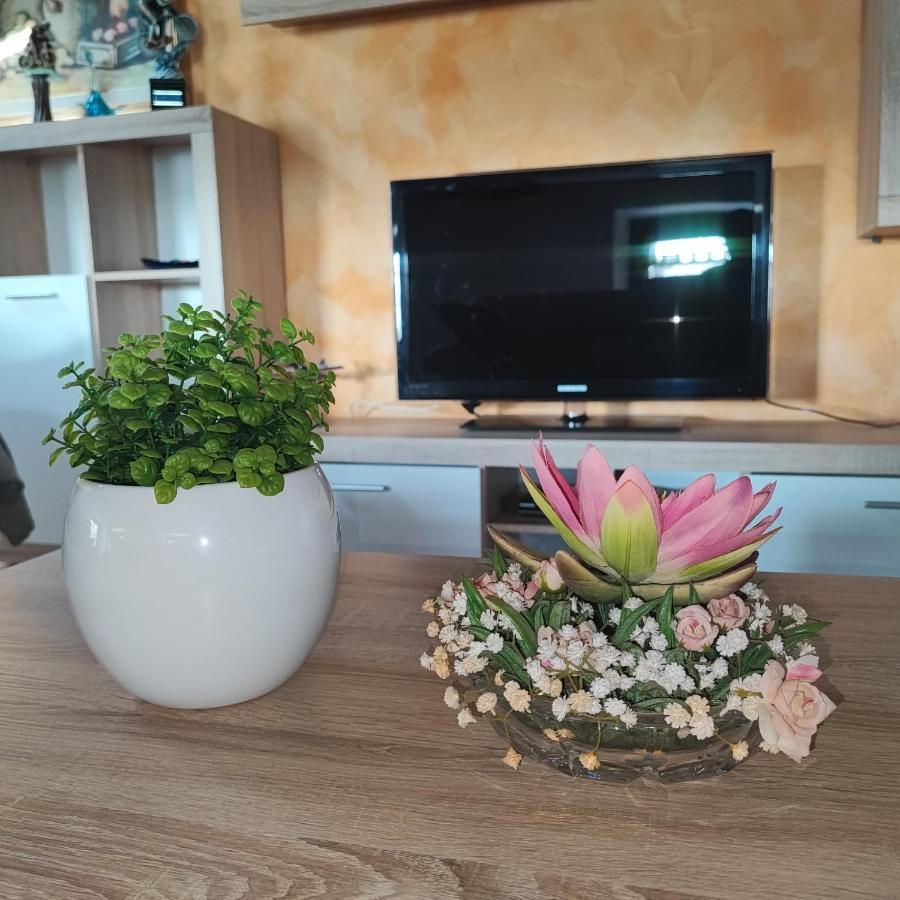 Casa Zanier Aviano Apartment San Martino di Campagna